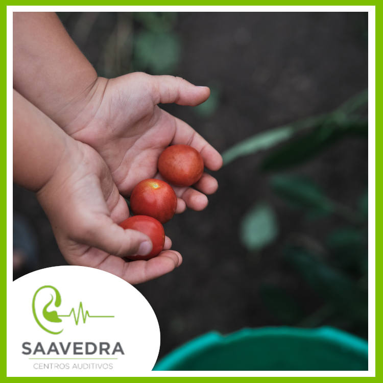 ¿Conoces la Cofosis o Anacusia?