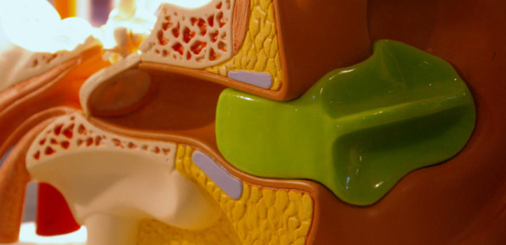 Tapones de Baño Adaptados