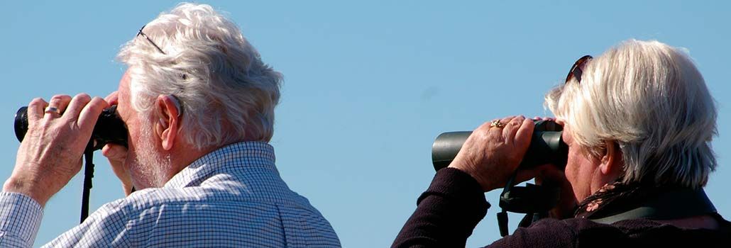 Audífonos accesibles y ayudas para Jubilados y Pensionistas
